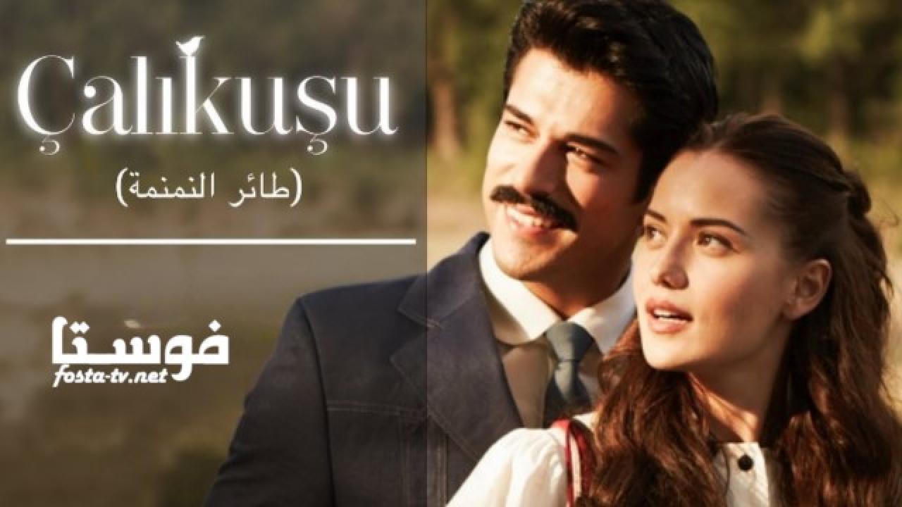 مسلسل طائر النمنمة الحلقة 18 مترجمة