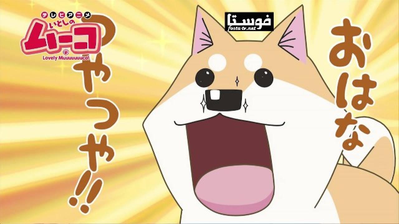 انمي Lovely Muco! الحلقة 7 مترجمة