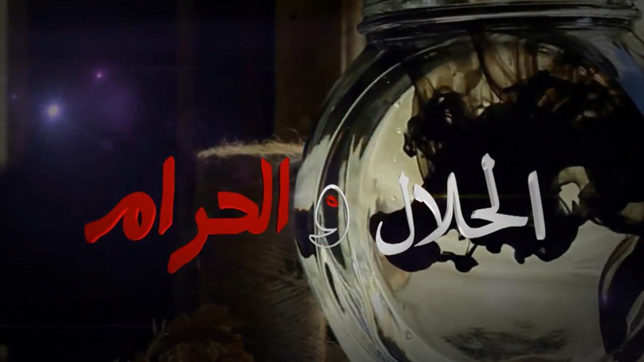 مسلسل الحلال والحرام الحلقة 30 الثلاثون